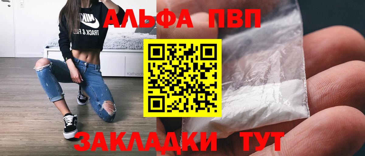 Альфа ПВП СК Геленджик