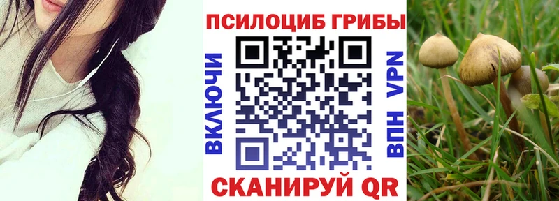 Галлюциногенные грибы Psilocybe МЕГА вход Геленджик