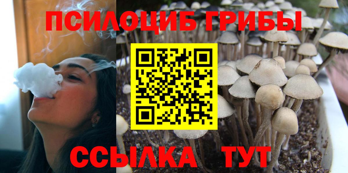 Галлюциногенные грибы Magic Shrooms Геленджик